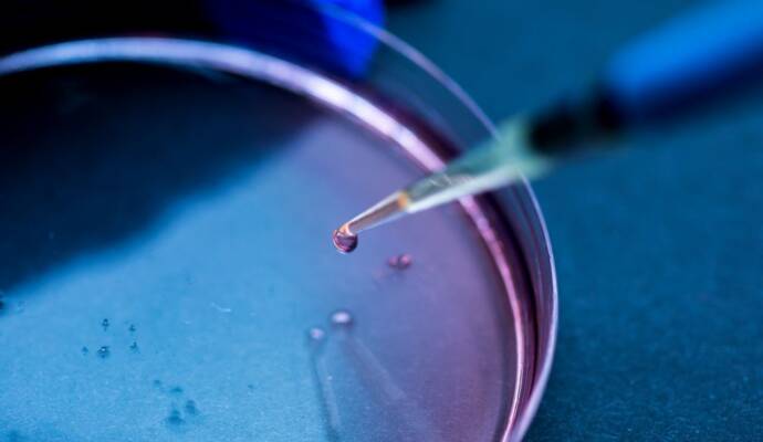 czy in vitro boli